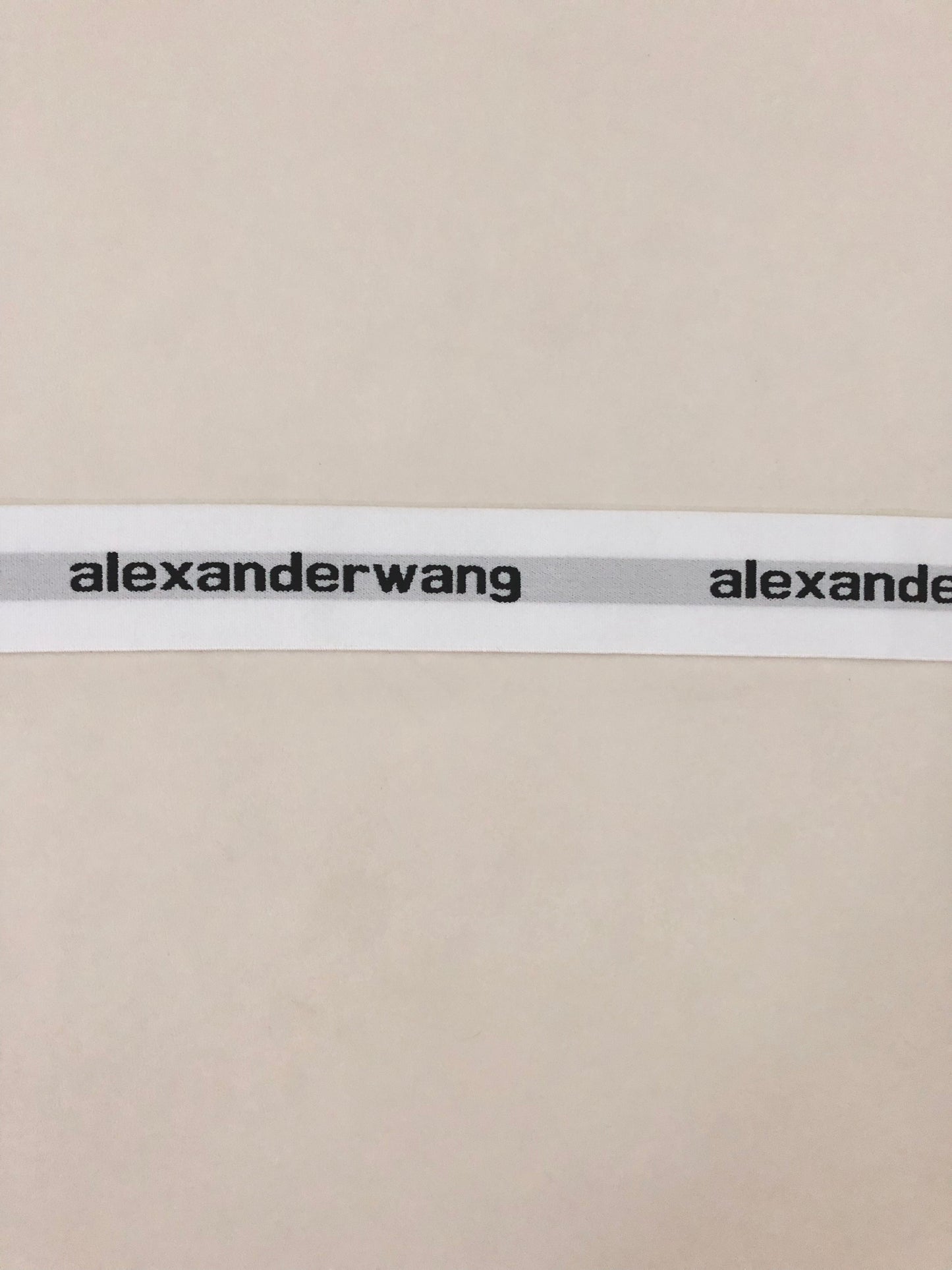 Alexander Wang Elastic Band